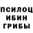 Псилоцибиновые грибы ЛСД _Jizel _